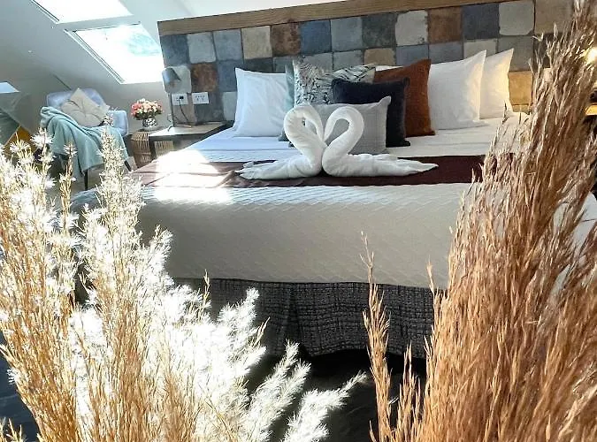 Clockworkorange Luxury Appartement Lapu-Lapu City